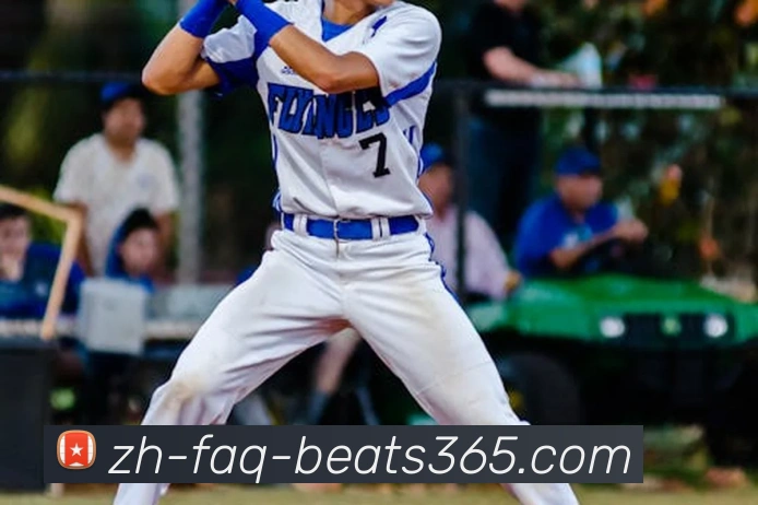 beats365平台生态图